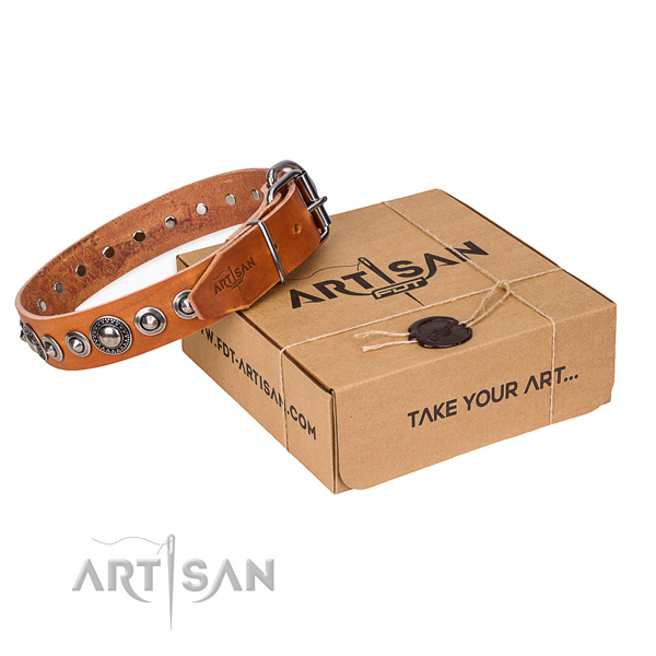 Perfect fit full grain leather dog collar for daily use