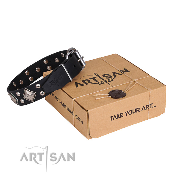 Fine quality full grain genuine leather dog collar for walking in style