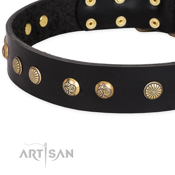 Easy to use leather dog collar with extra strong rust-proof fittings