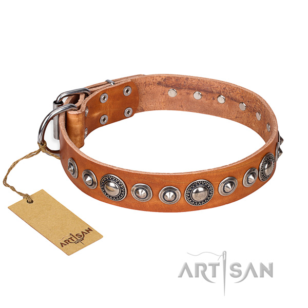 Strong leather dog collar with non-rusting hardware