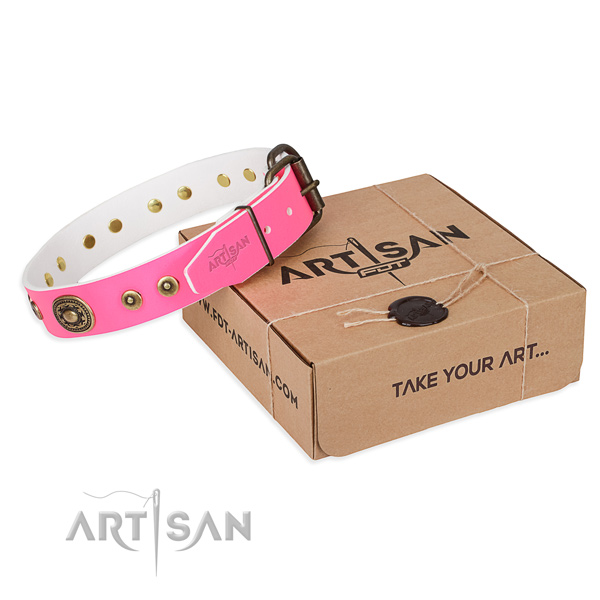 Fine quality full grain genuine leather dog collar for everyday use