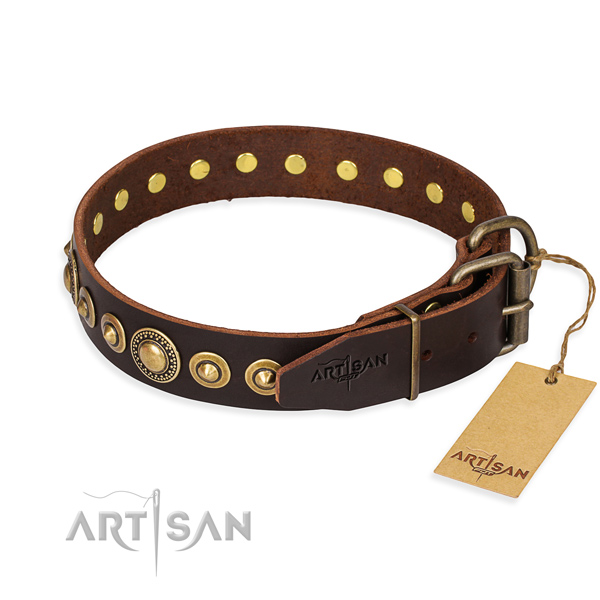 Daily leather collar for your noble four-legged friend