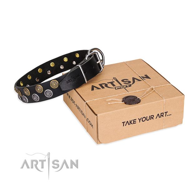 Casual leather dog collar with remarkable embellishments