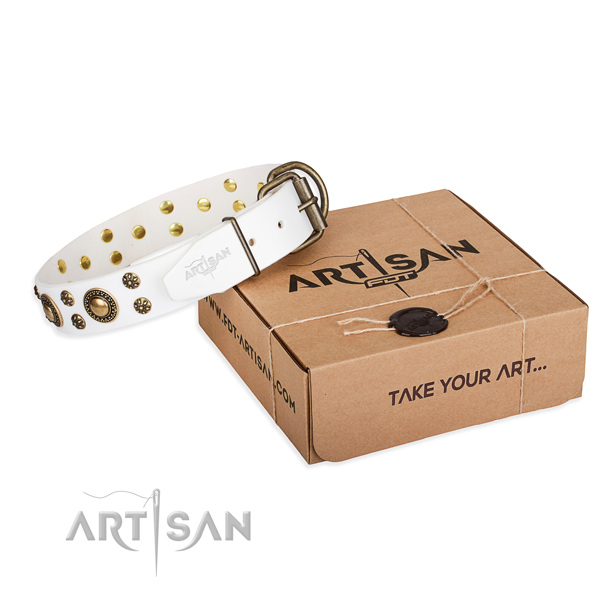 Casual style leather dog collar with sensational decorations