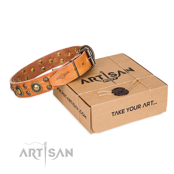 Daily leather dog collar with refined adornments