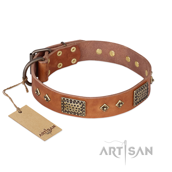 Stunning design decorations on full grain genuine leather dog collar