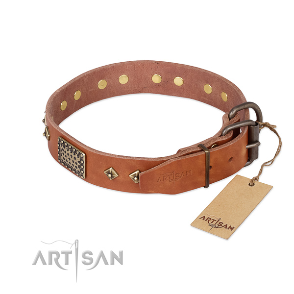 Daily walking full grain natural leather collar with decorations for your canine