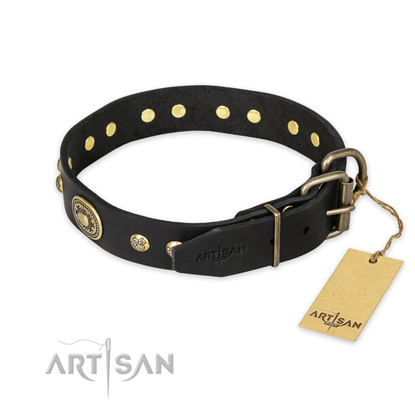 Everyday walking genuine leather collar with embellishments for your doggie