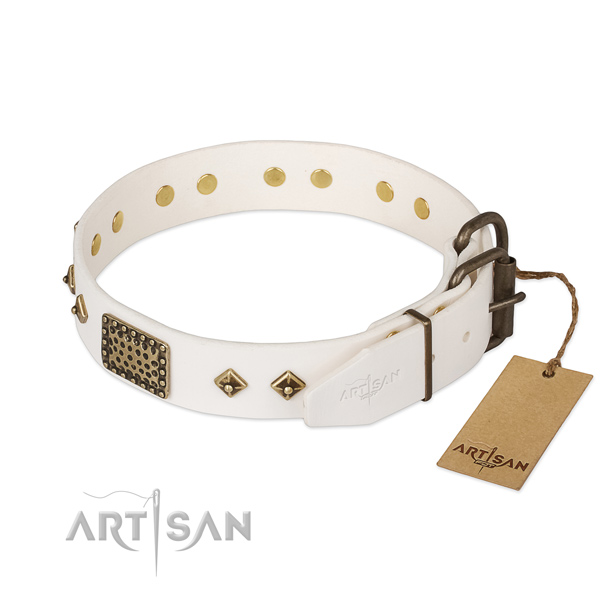 Stylish walking genuine leather collar with studs for your dog