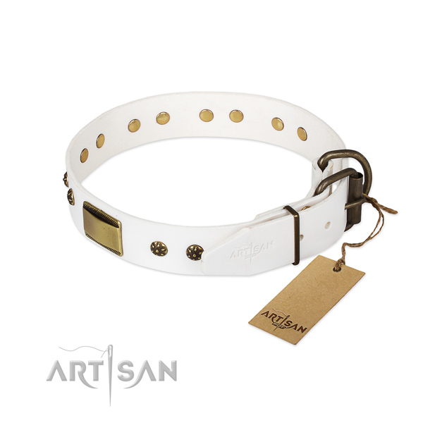 Handy use leather collar with adornments for your doggie