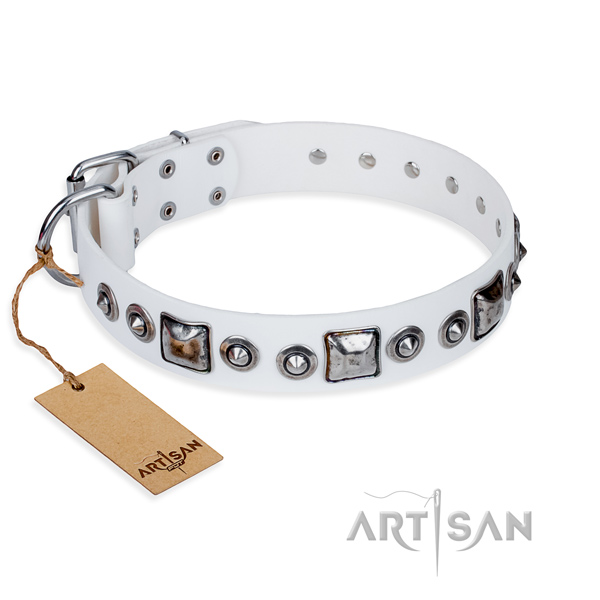 Resistant leather dog collar with sturdy elements