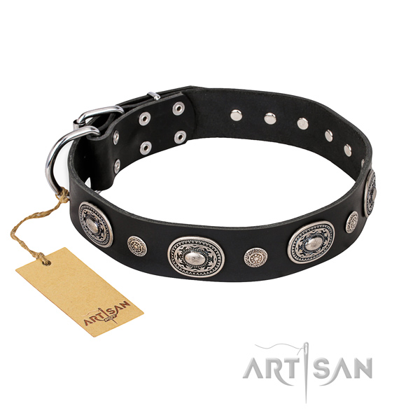 Significant design adornments on full grain leather dog collar