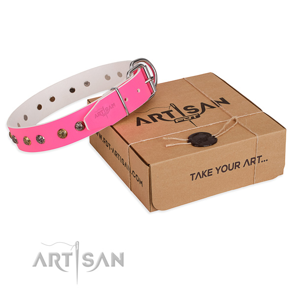 Stylish genuine leather dog collar for stylish walking