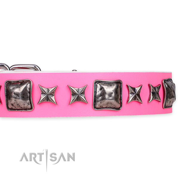 Snugly fitted leather dog collar with resistant chrome plated fittings