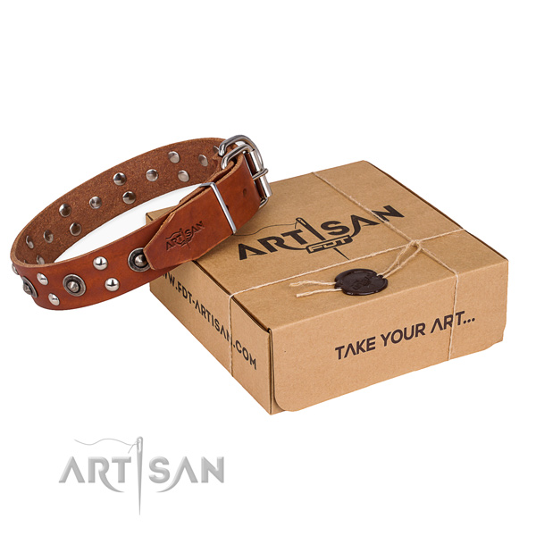 Perfect fit leather dog collar for everyday walking