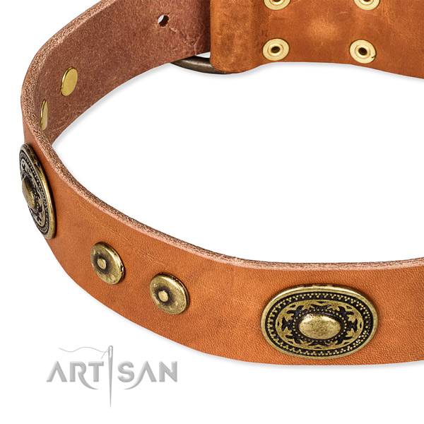 Snugly fitted leather dog collar with resistant brass plated buckle and D-ring