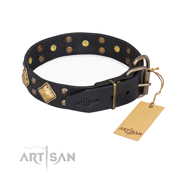 Awesome leather collar for your darling canine