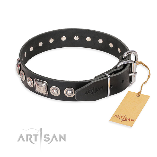 Stylish leather collar for your beloved dog