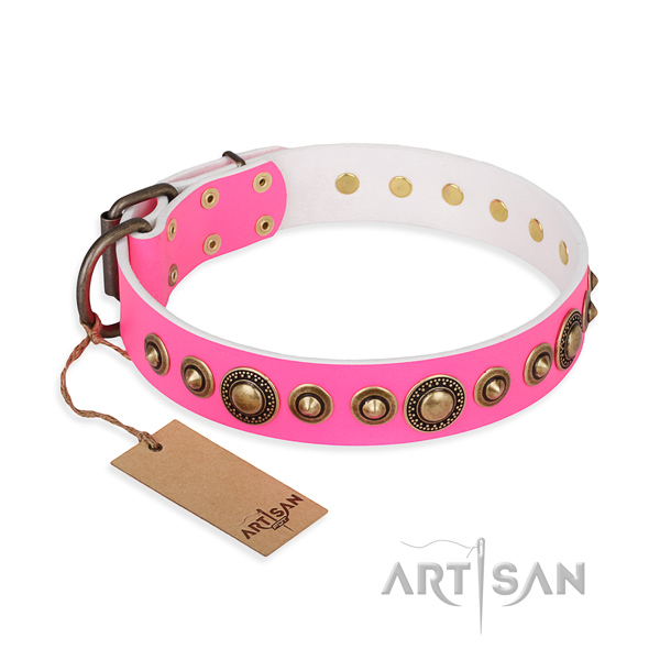 Exceptional design decorations on leather dog collar
