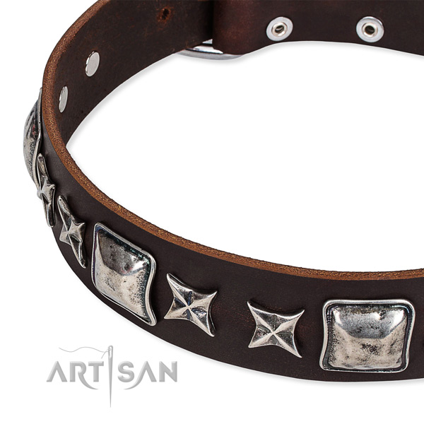 Quick to fasten leather dog collar with almost unbreakable rust-proof set of hardware