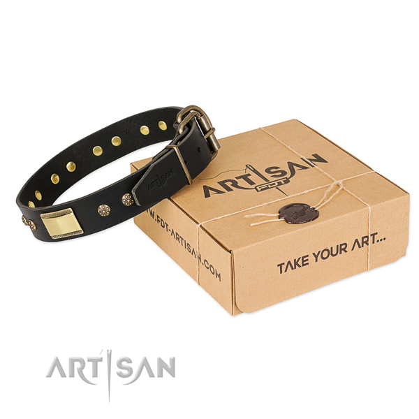 Stylish full grain genuine leather dog collar for everyday walking