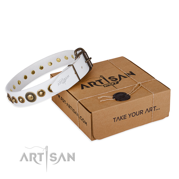 Finest quality full grain leather dog collar for stylish walking