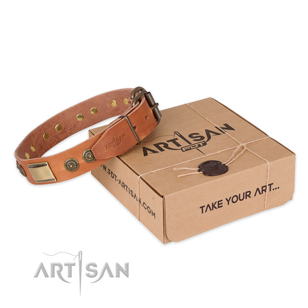 High quality leather dog collar for walking in style