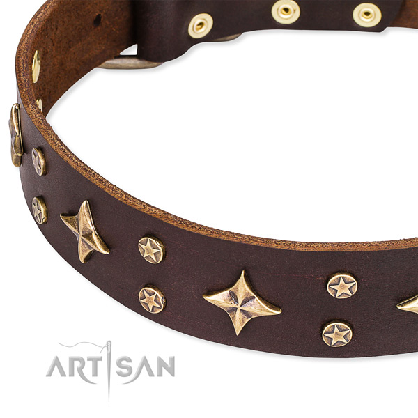 Adjustable leather dog collar with extra strong non-rusting buckle