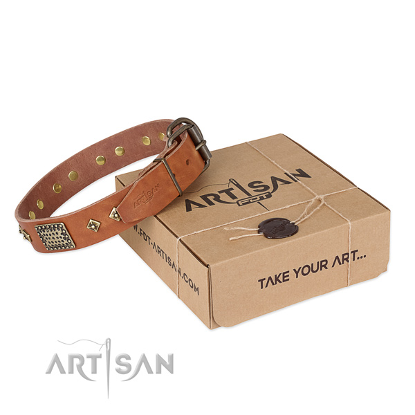 Designer leather dog collar for walking