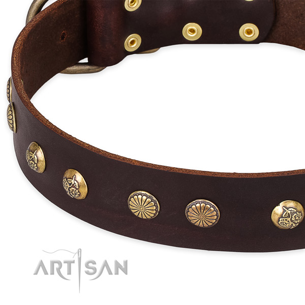 Quick to fasten leather dog collar with extra sturdy durable fittings