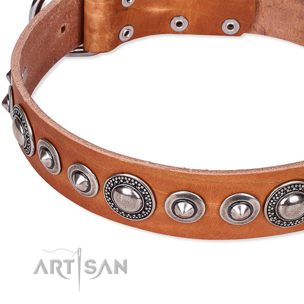 Easy to put on/off leather dog collar with almost unbreakable сркщьу plated set of hardware