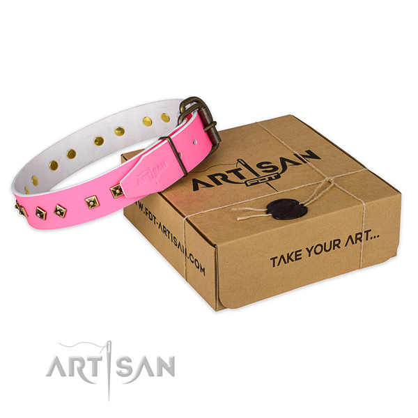 Top notch genuine leather dog collar for everyday use