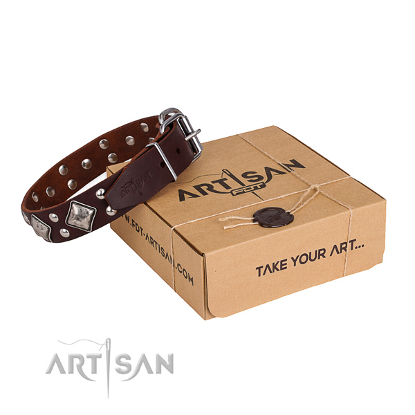 Awesome leather dog collar for daily walking