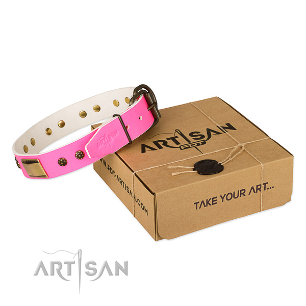 Stylish design natural genuine leather dog collar for everyday walking