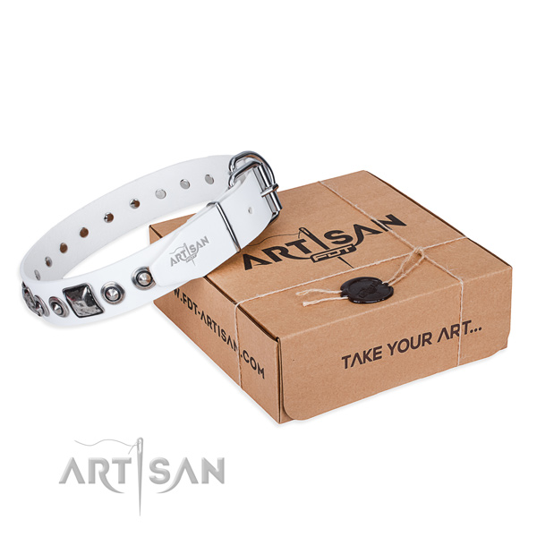 Fashionable leather dog collar for stylish walking