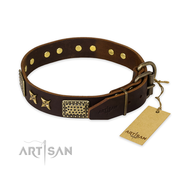 Walking leather collar with adornments for your doggie