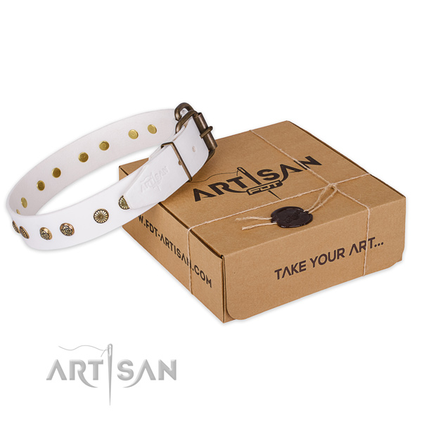 Incredible full grain genuine leather dog collar for everyday use