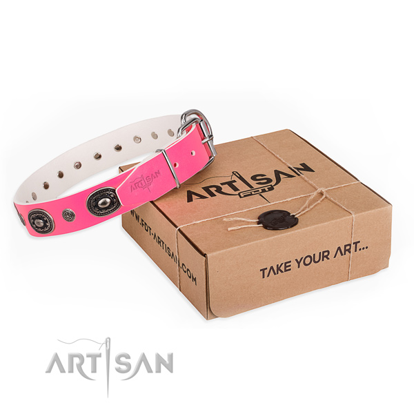 Fine quality leather dog collar for stylish walking