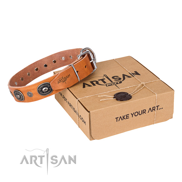 Impressive natural genuine leather dog collar for everyday walking