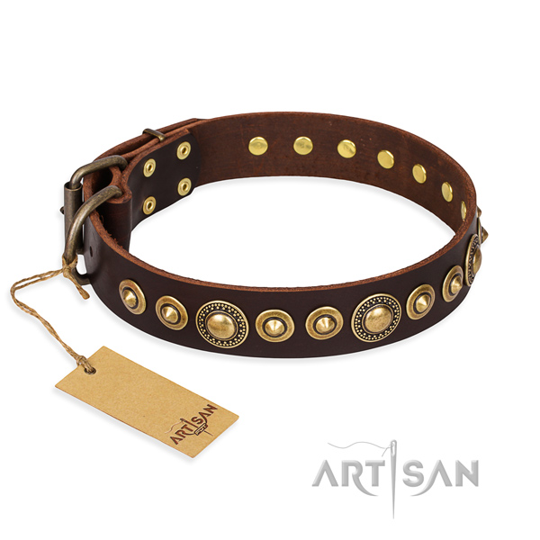 Indestructible leather dog collar with reliable fittings