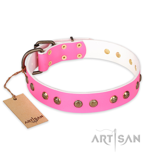 Significant design studs on genuine leather dog collar
