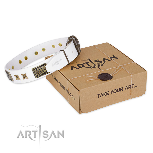 Stylish leather dog collar for stylish walks