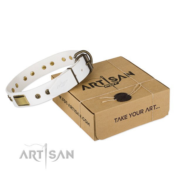 Finest quality leather dog collar for walking