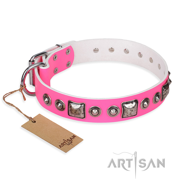 Awesome full grain natural leather dog collar for walking