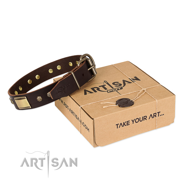 Stylish full grain natural leather dog collar for walking