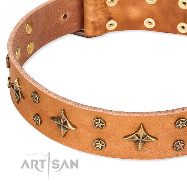 Easy to use leather dog collar with resistant to tear and wear rust-proof hardware