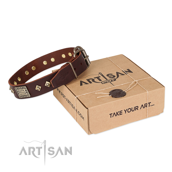 Fashionable full grain natural leather dog collar for walking in style