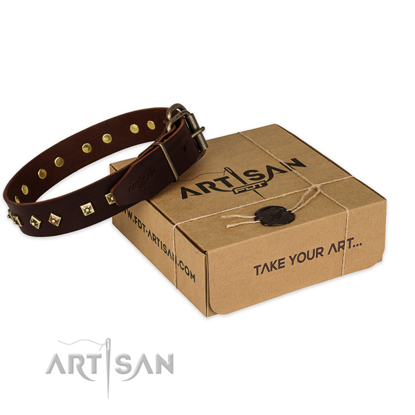 Perfect fit leather dog collar for stylish walking