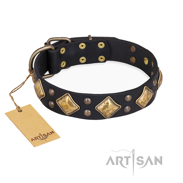 Inimitable design embellishments on leather dog collar