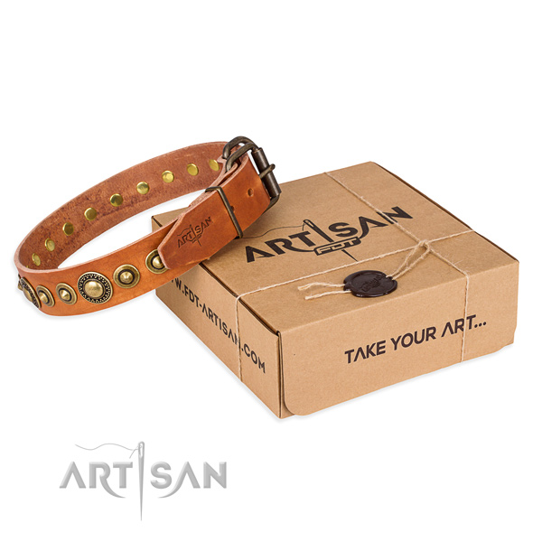 Designer leather dog collar for stylish walking